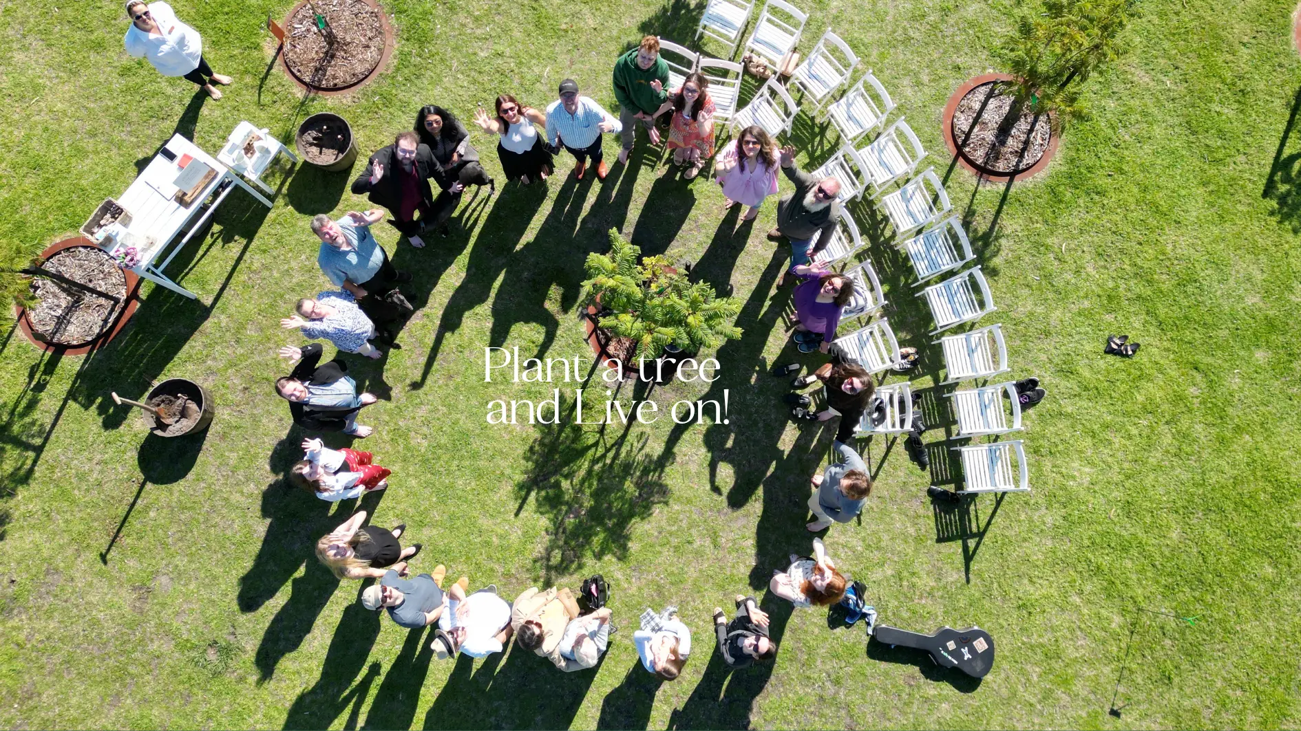 choice living legacy and became a tree