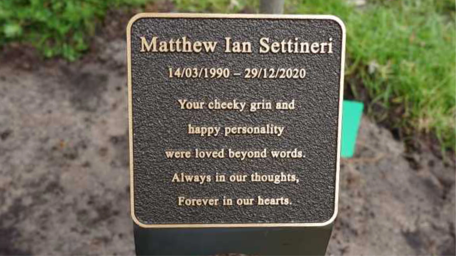 amanda testimoni for chooice living legacy tree