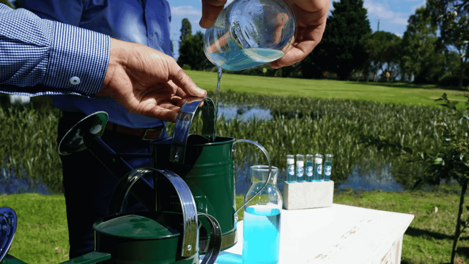 living legacy tree liquid formula