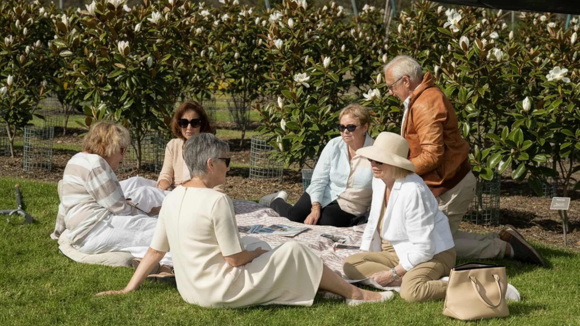 Why Australians Are Rethinking Tradition