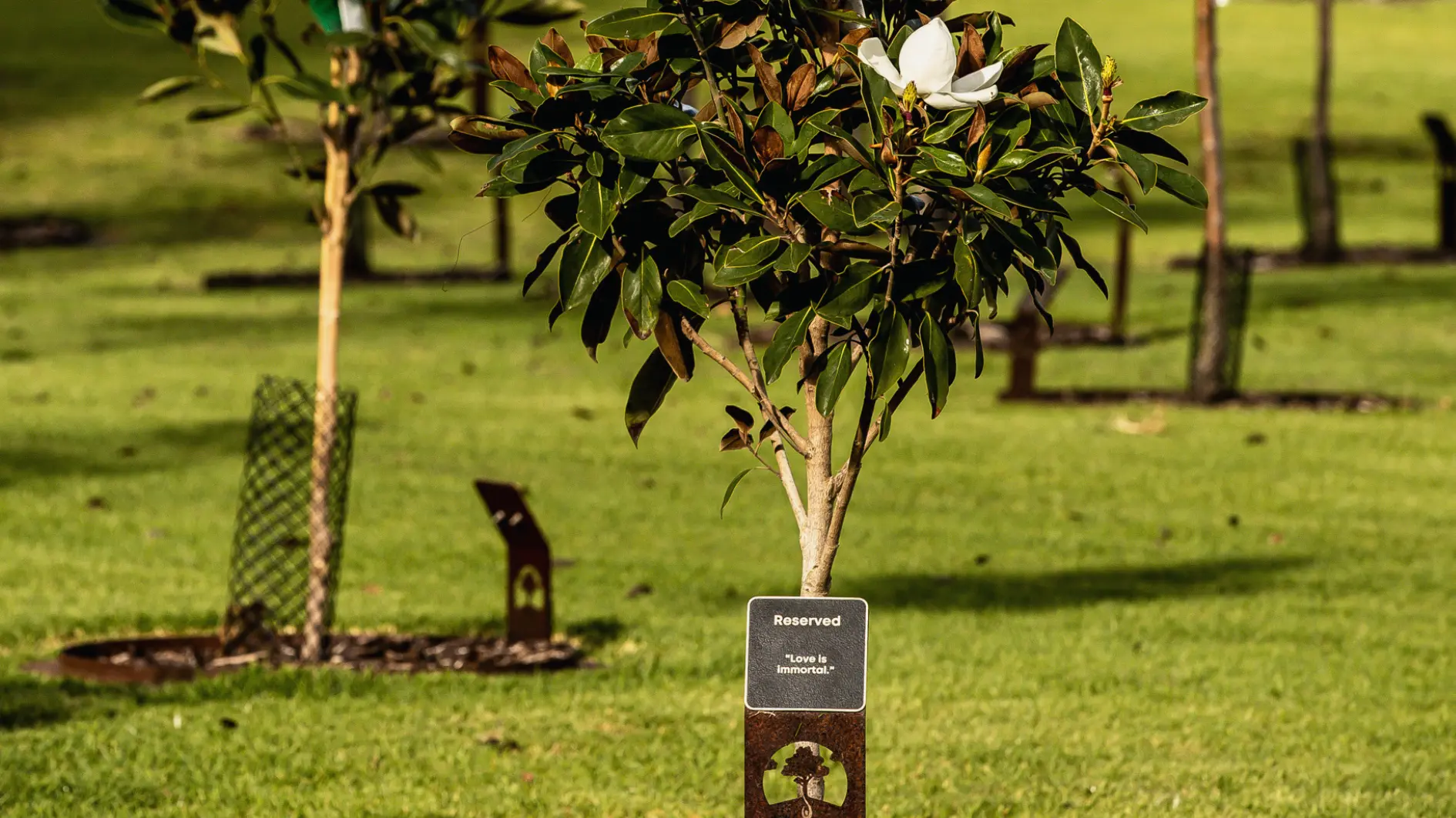 living legacies package with plaque