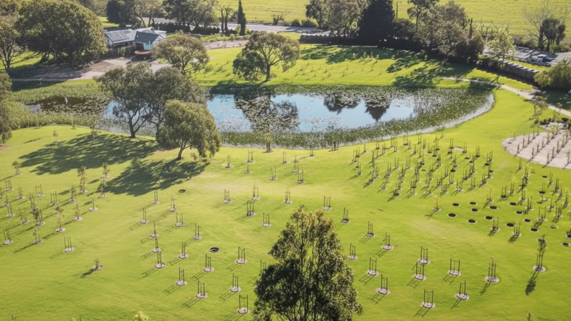 mornington green living legacy garden and natural memorial