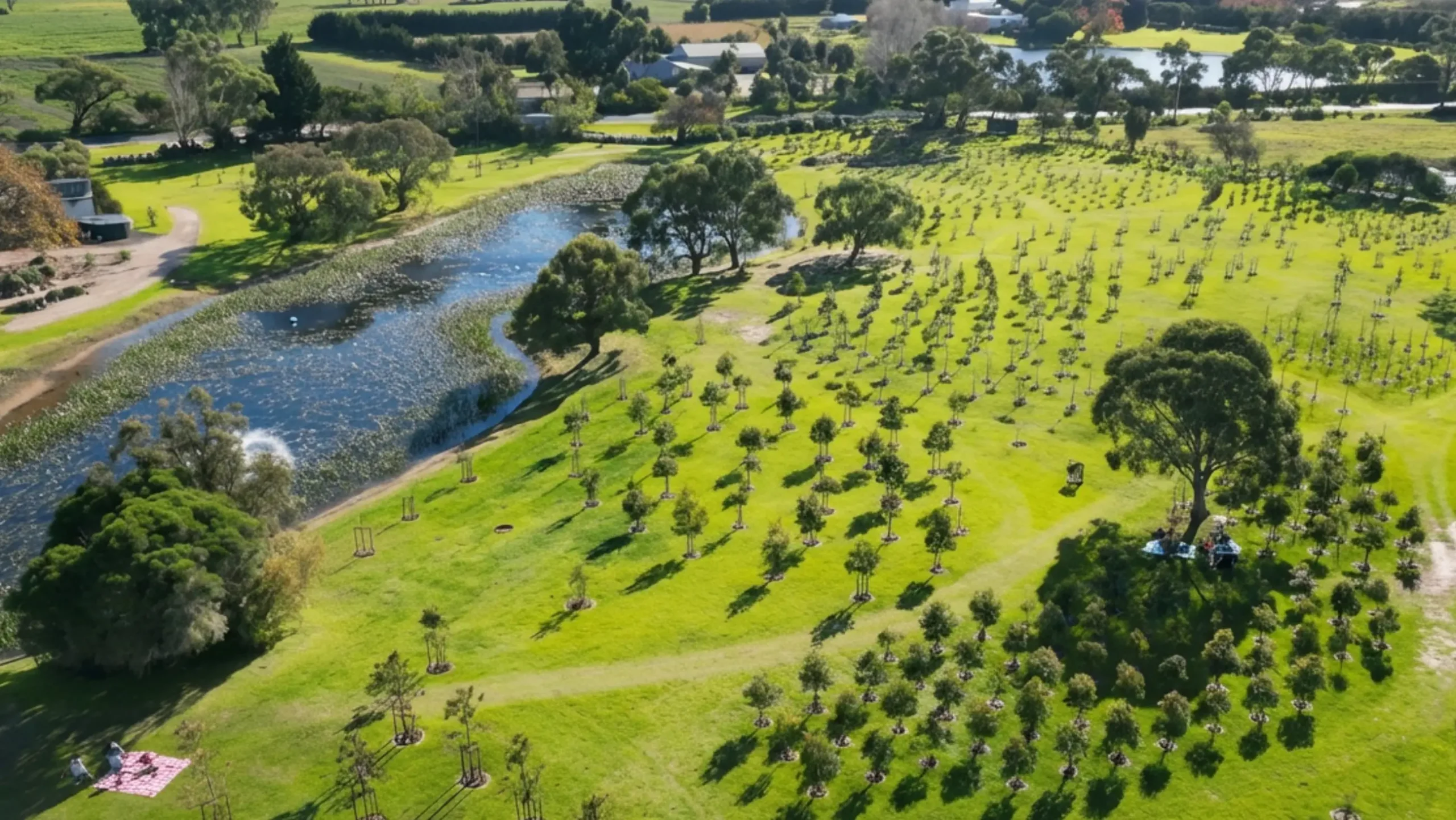 mornington green landscape