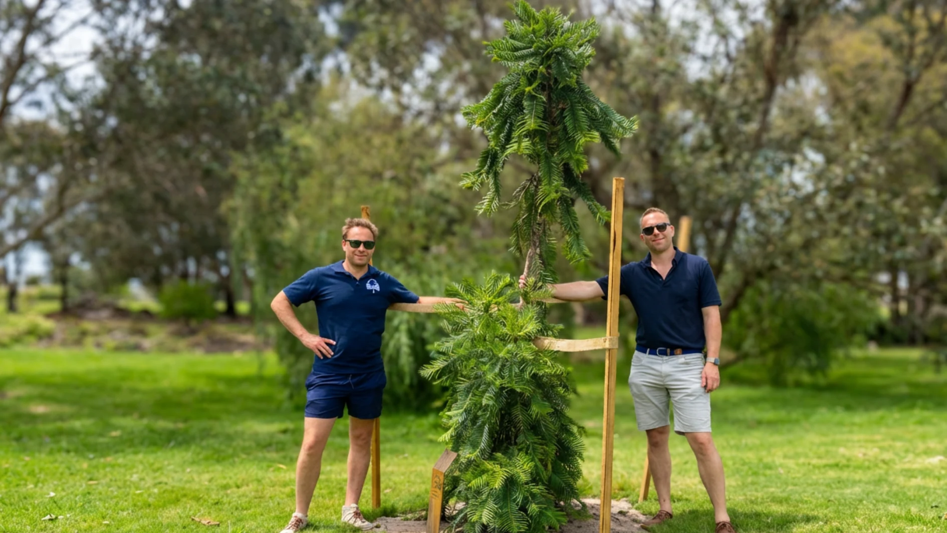 mornington green makes your legacy stand-out