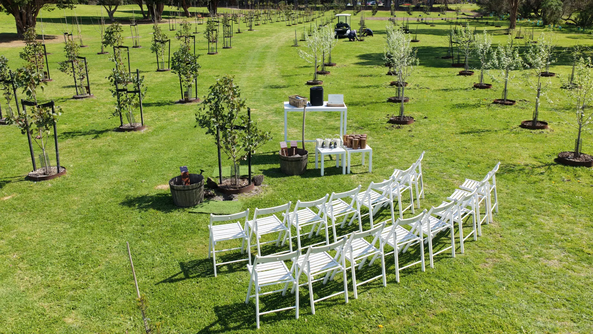 mornington green experience