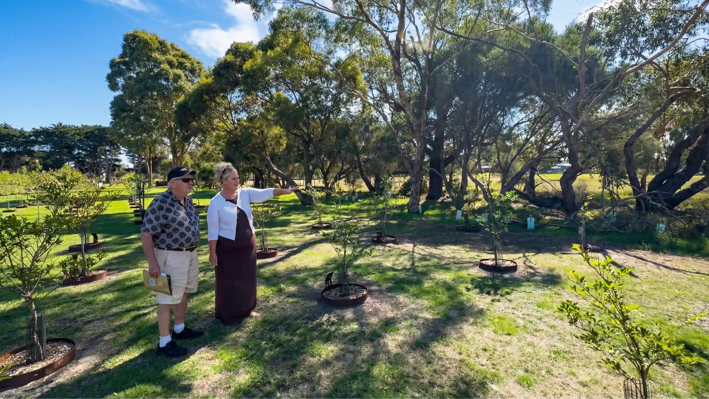 Legacy planner showing a visitor the established trees at Mornington Green