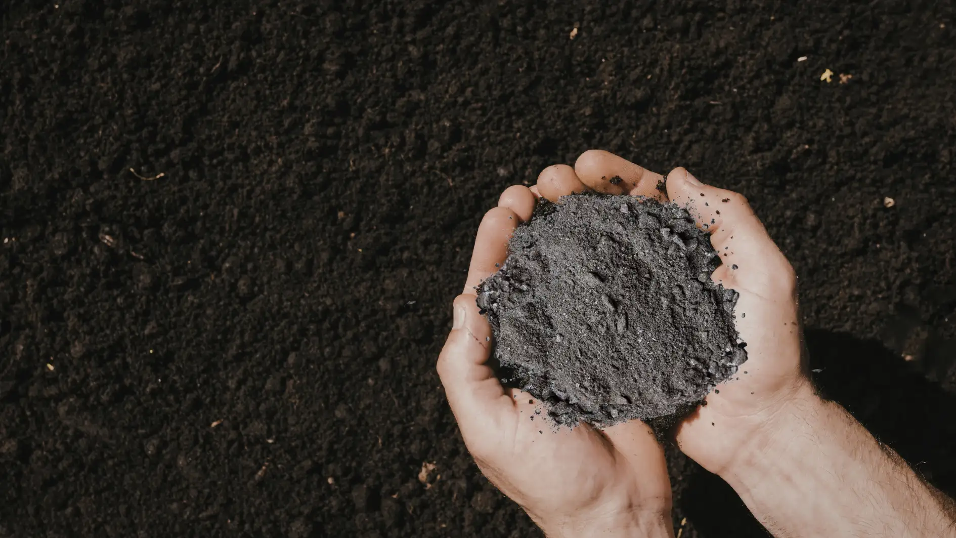 Human ashes scattered and absorbed into the ground