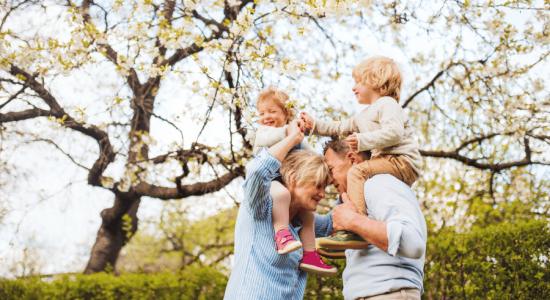 Funeral Bonds vs. Funeral Insurance vs. Living Legacy Trees: Which is best? Funeral Bonds vs. Funeral Insurance vs. Living Legacy Trees: Which is best?
